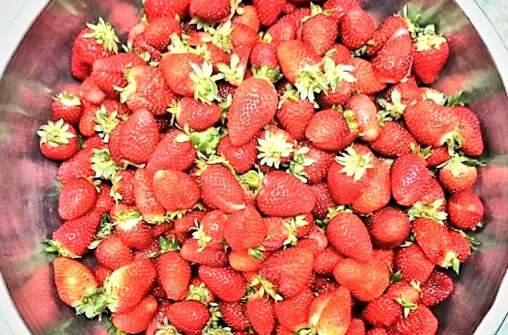 September is for Strawberries.